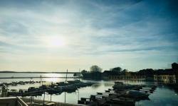 9.Der Frühling beginnt